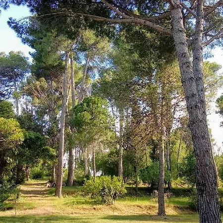 Corfu Beach - Durrells Dressing